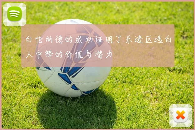 白伦纳德的成功证明了乐透区选白人中锋的价值与潜力